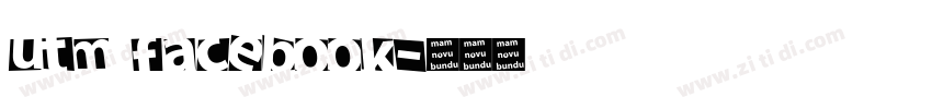 UTM FACEBOOK字体转换